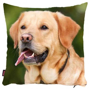 Köpekli Yastık Kılıfı-24